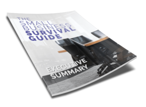 Small Business Survival Guide - Summary - 2 Small Business Survival Tips